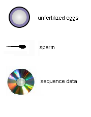 Unfertilized eggs, sperm and sequence data